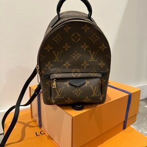 Louis Vuitton Palm Springs Mini Backpack